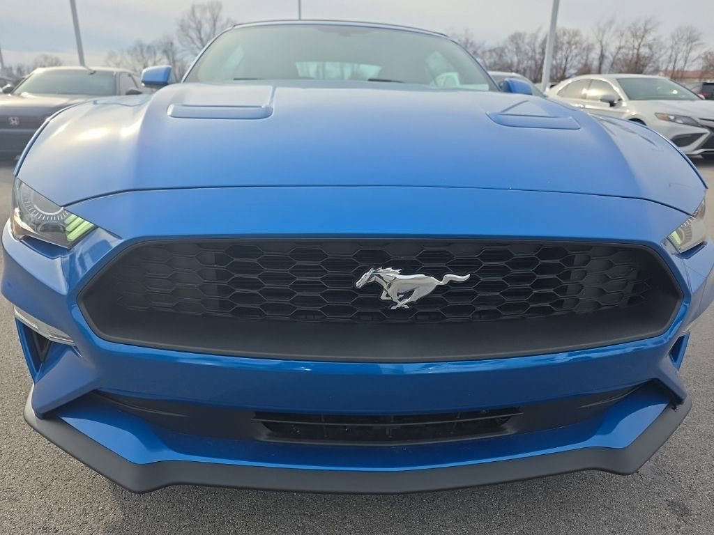 Used 2020 Ford Mustang EcoBoost w/ Equipment Group 101A image 2