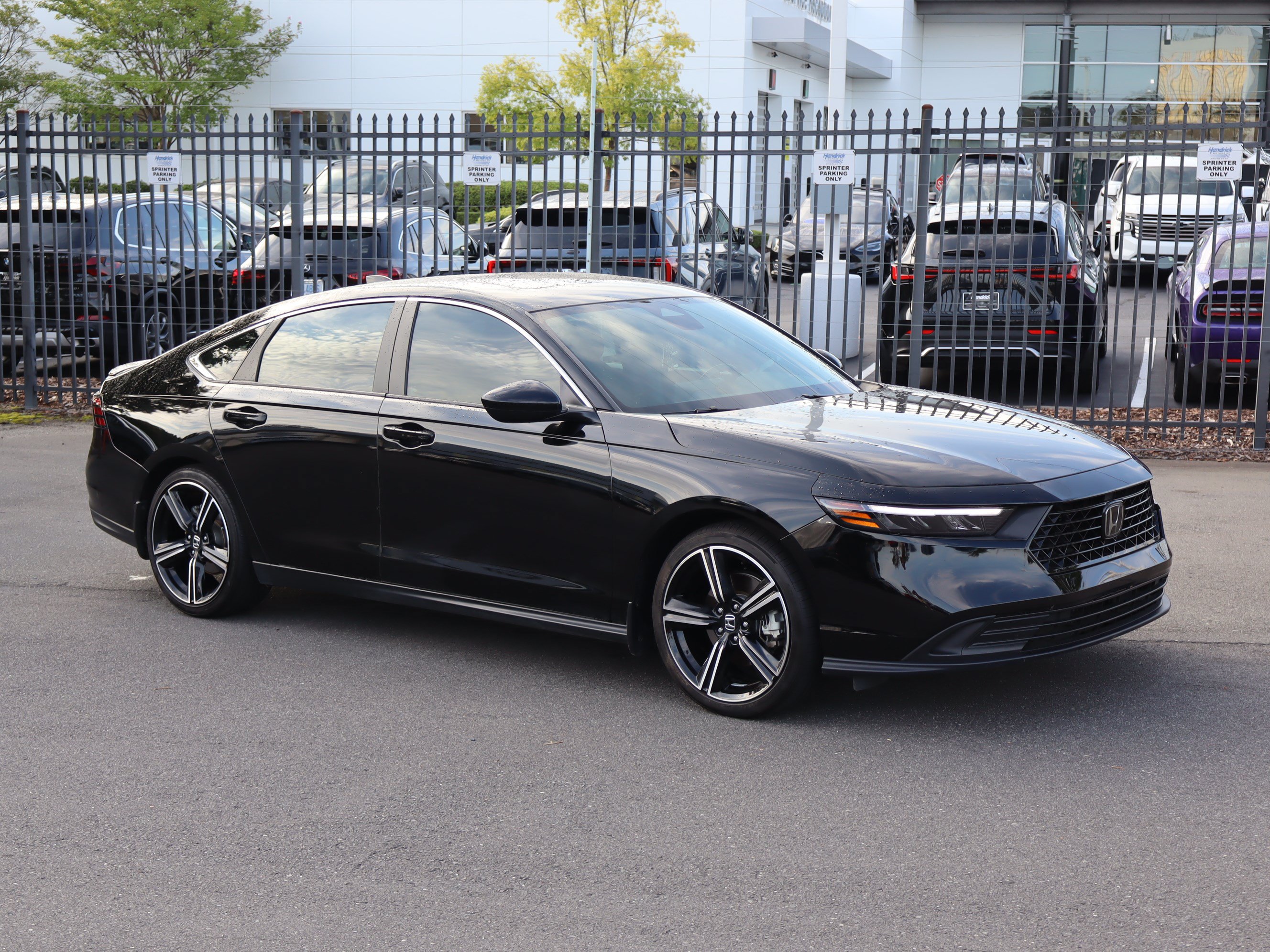 Used 2025 Honda Accord Sport video 2