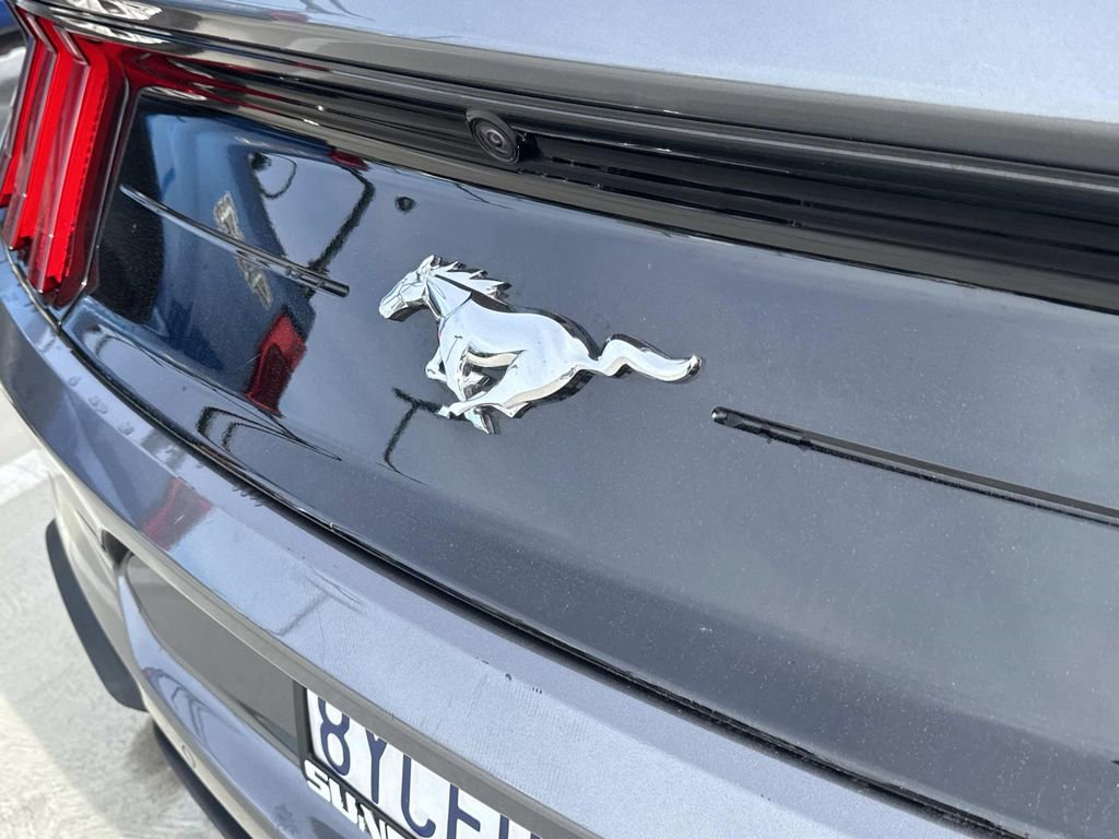 Used 2021 Ford Mustang EcoBoost w/ Equipment Group 101A image 8