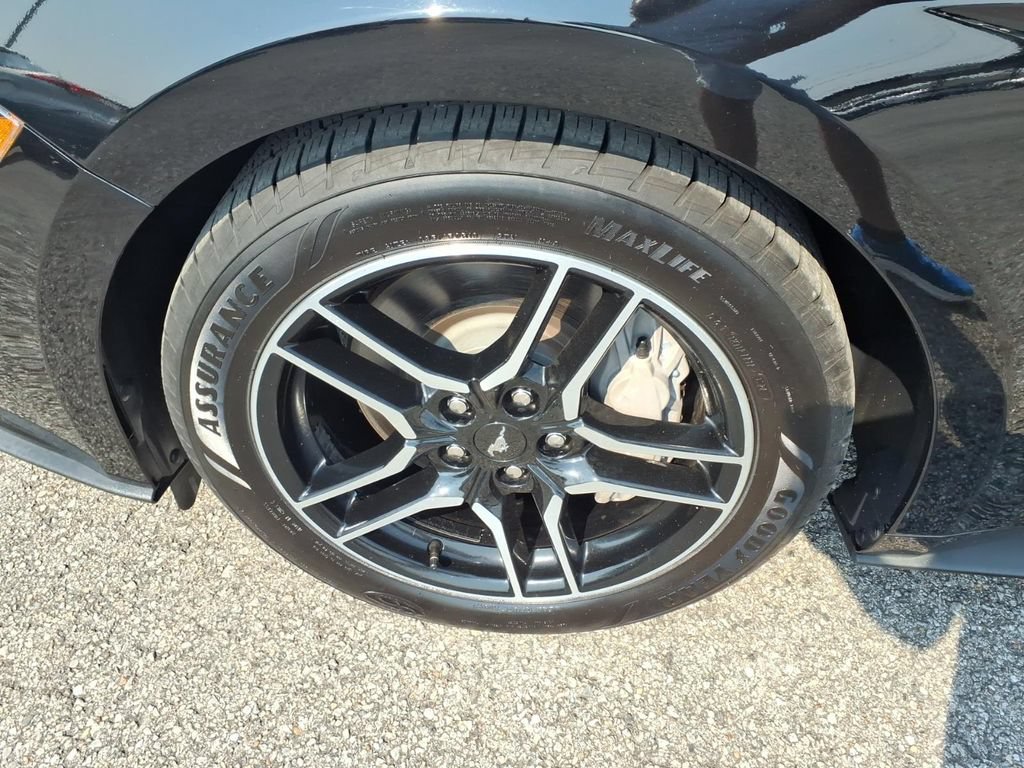 Used 2022 Ford Mustang GT w/ Equipment Group 301A RWD image 5