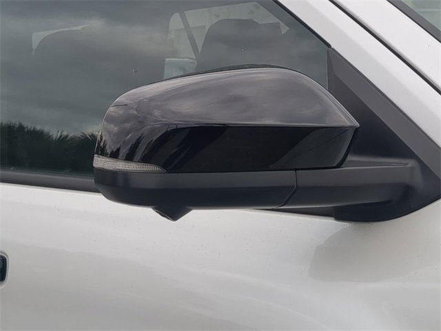 New 2026 Toyota 4Runner Platinum image 12