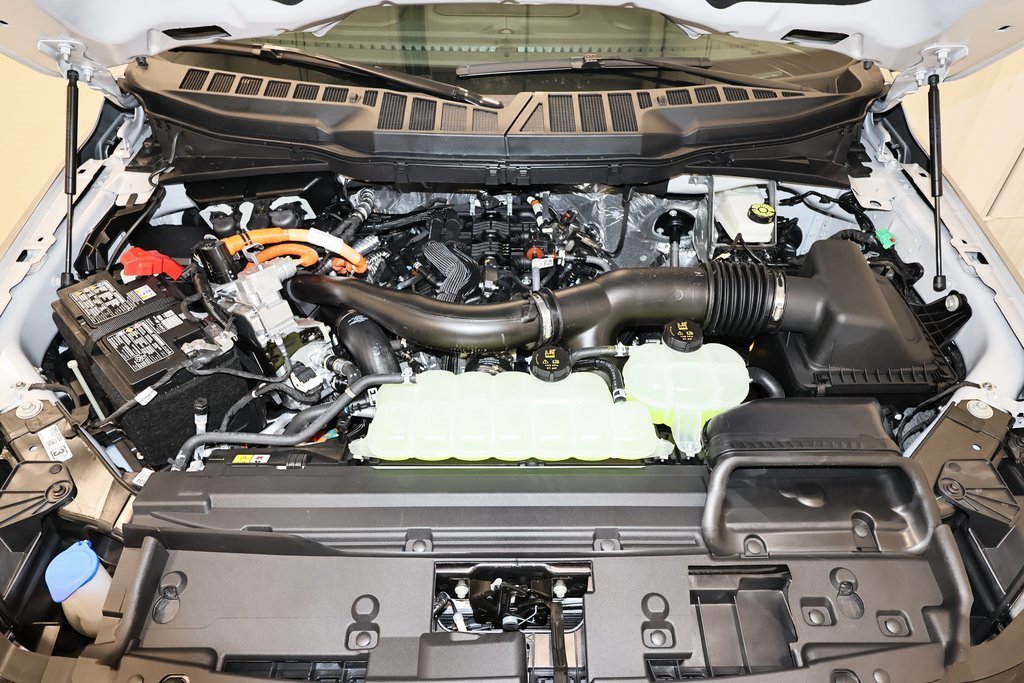 New 2025 Ford F150 XLT w/ Equipment Group 302A MID image 32