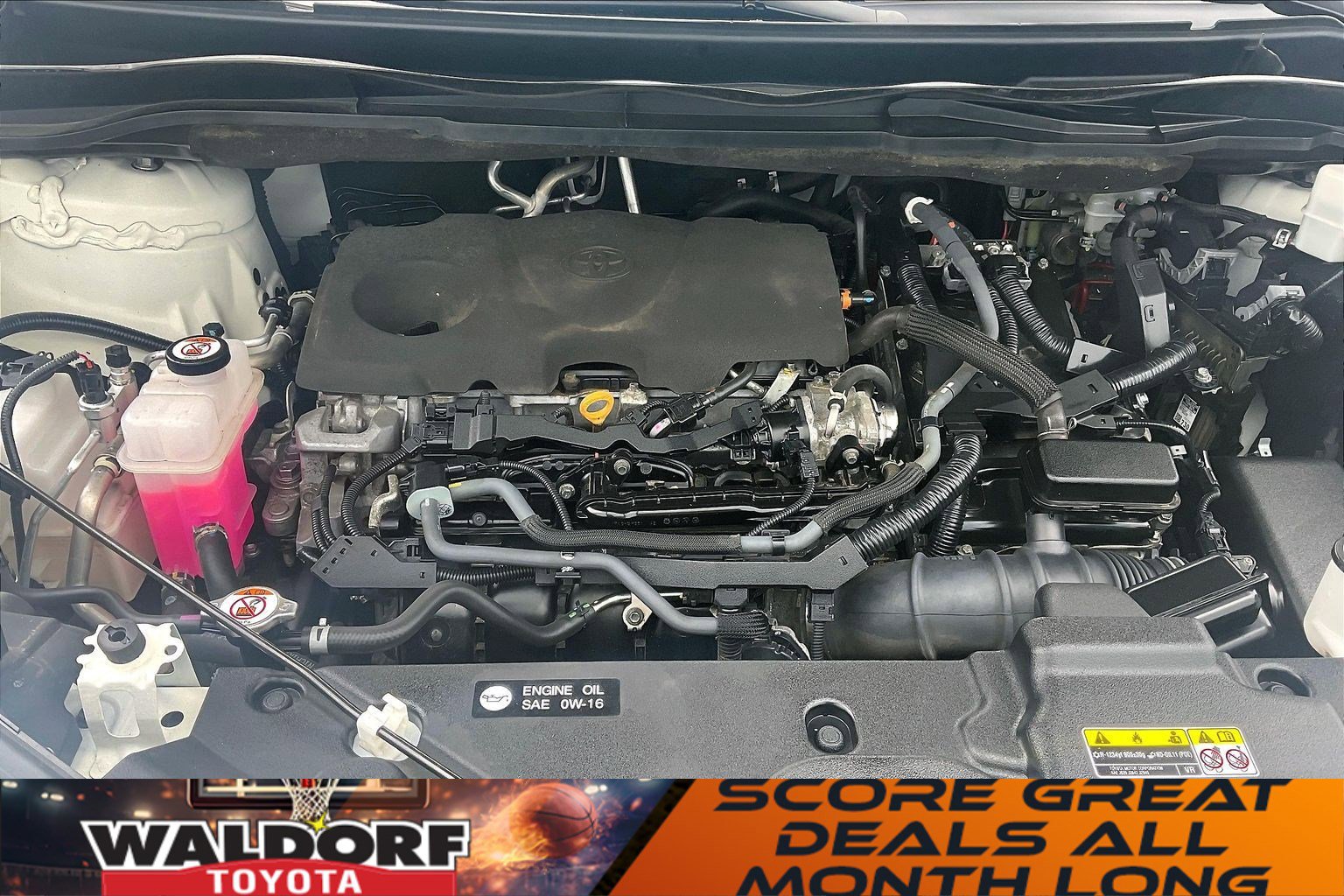 Used 2023 Toyota Sienna LE w/ LE Plus Package image 13