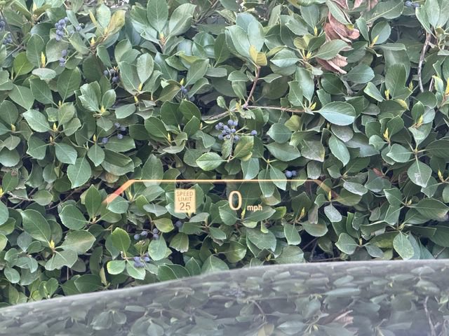 Used 2023 BMW 230i Coupe image 23