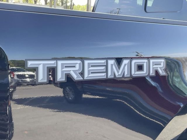 New 2026 Ford F250 King Ranch w/ Tremor Off-Road Package image 8