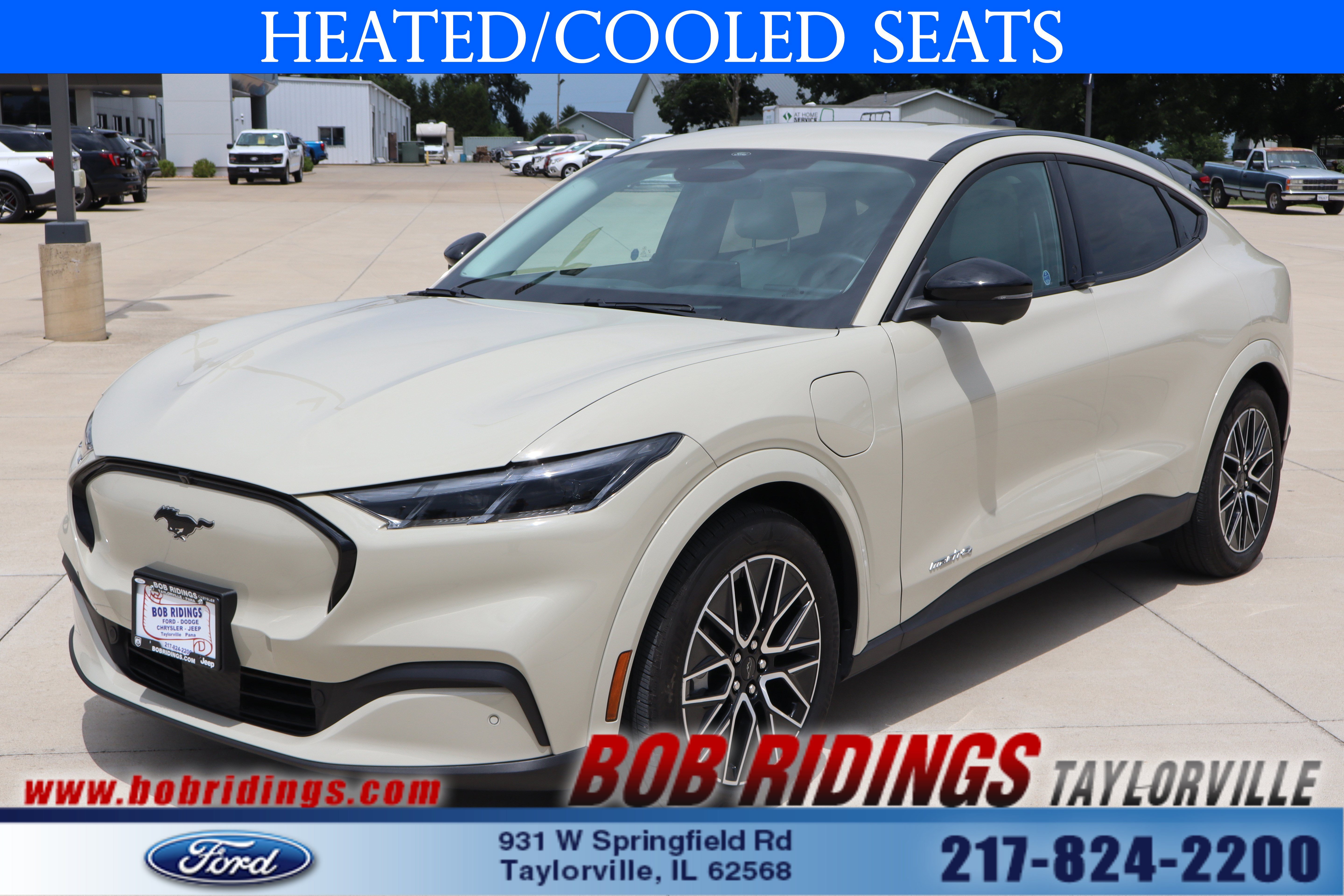 Used 2025 Ford Mustang Mach-E Premium AWD/4WD image 1