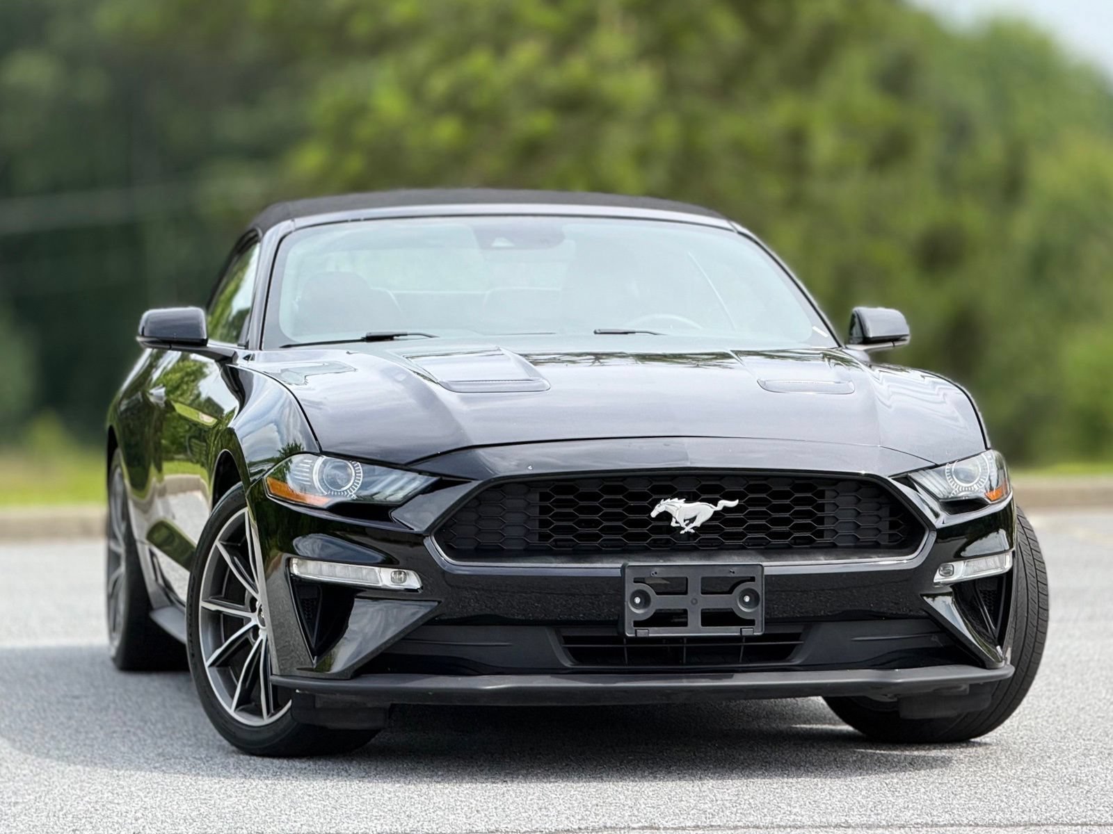 Used 2019 Ford Mustang Premium w/ Equipment Group 201A RWD image 4