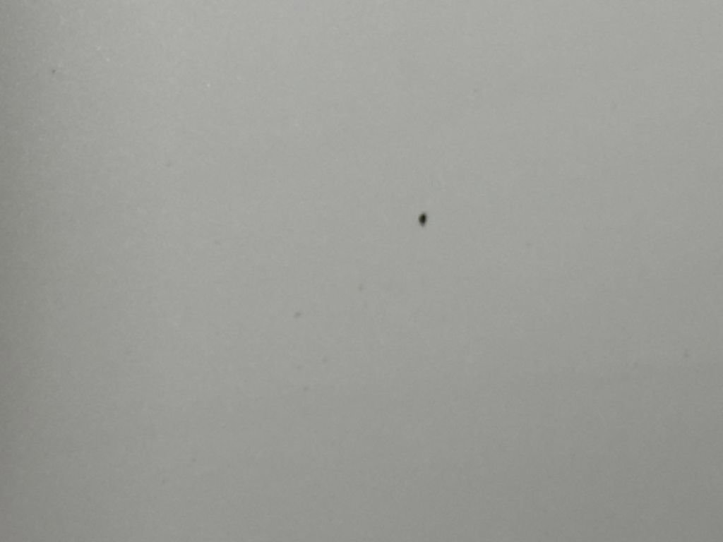 Used 2010 Ford Explorer Limited image 32