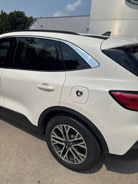 Used 2020 Ford Escape SEL FWD image 15