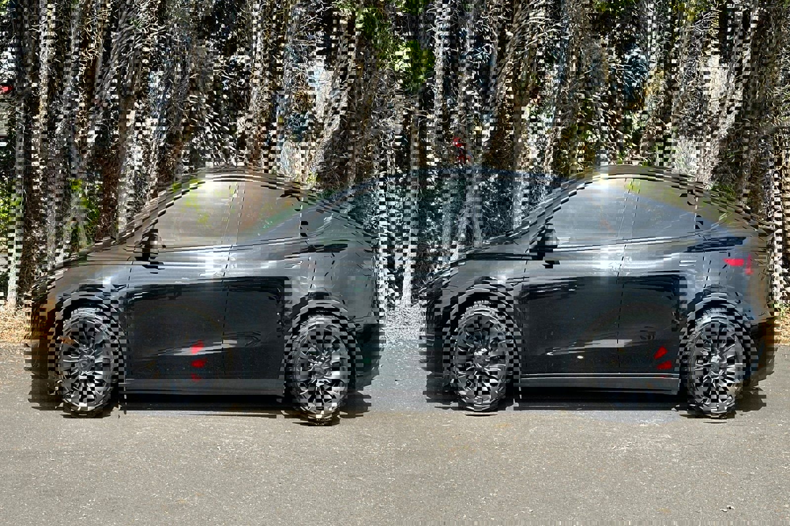 Used 2023 Tesla Model Y Performance image 7