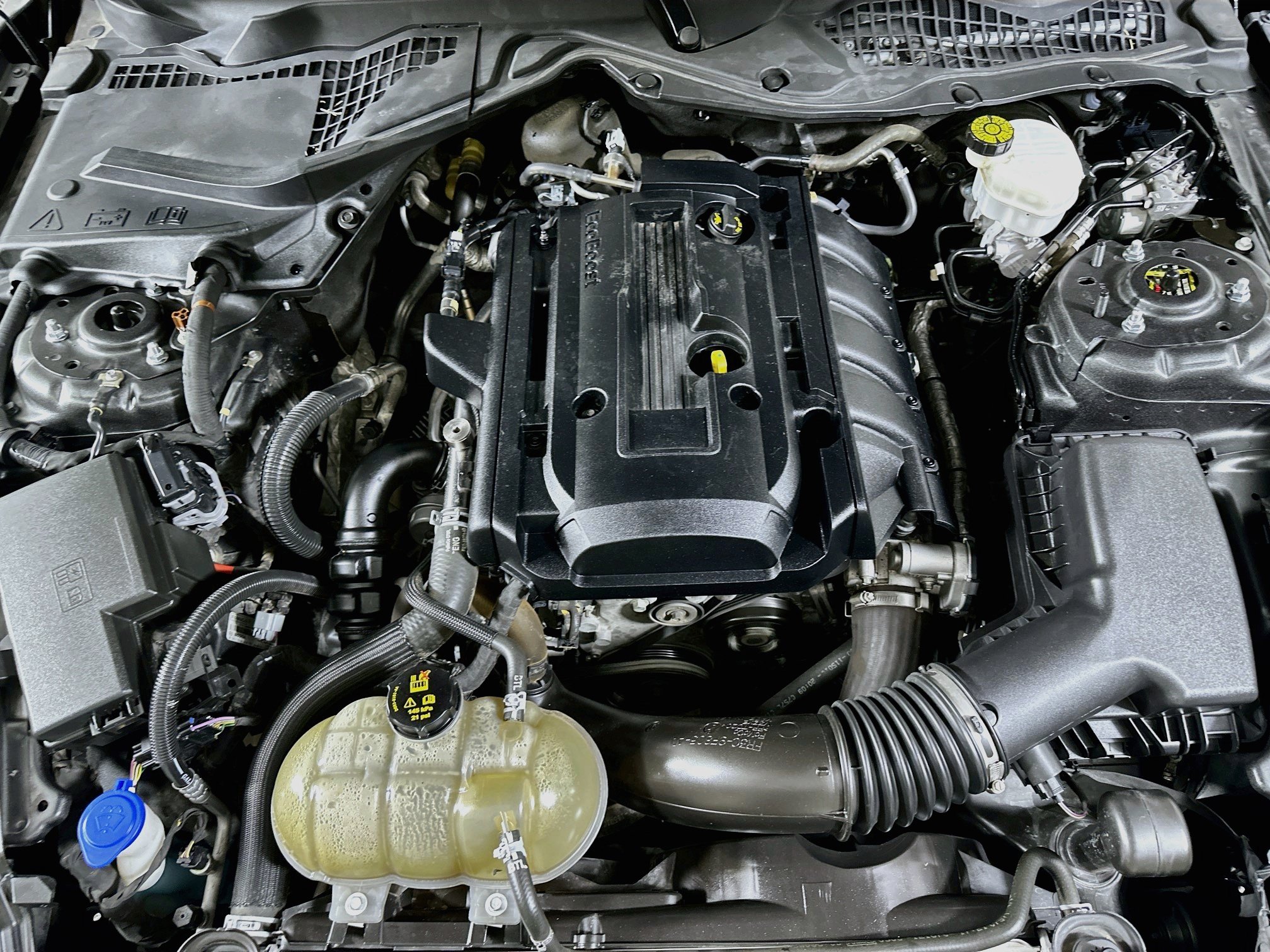 Used 2020 Ford Mustang Premium RWD image 28