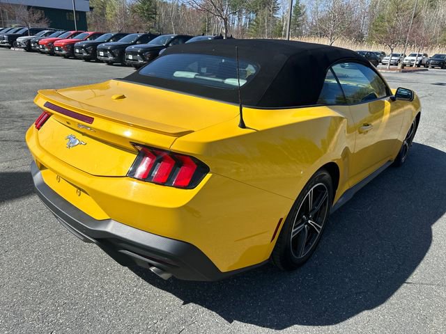 Used 2024 Ford Mustang Premium RWD image 6