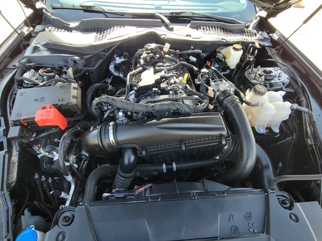 Certified 2024 Ford Mustang Coupe image 13