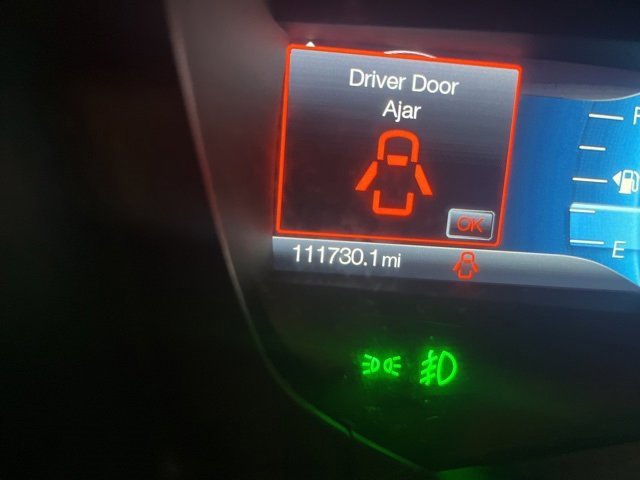 Used 2016 Ford Expedition Platinum image 15