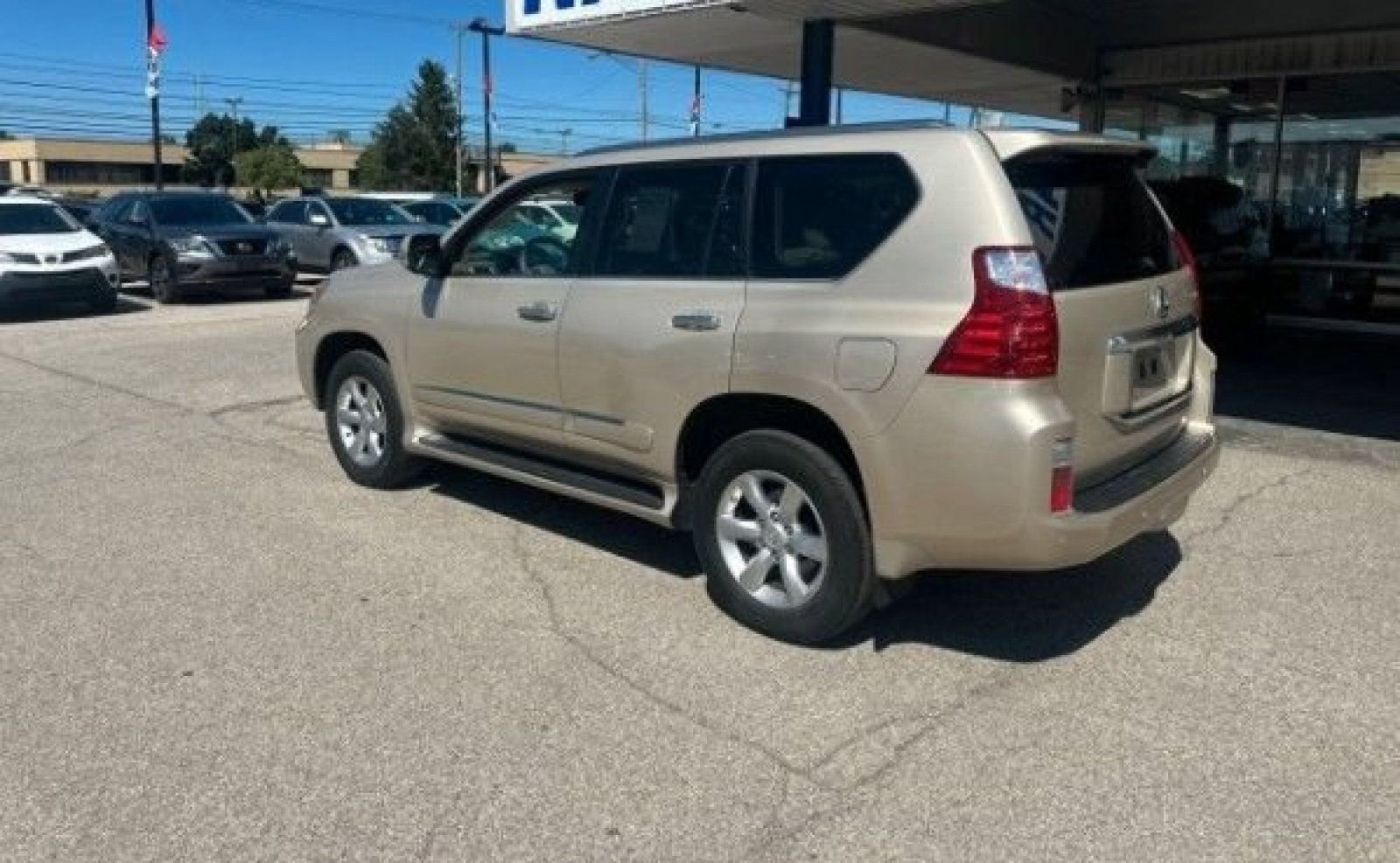 Used 2013 Lexus GX 460 w/ Comfort Plus Pkg AWD/4WD image 6