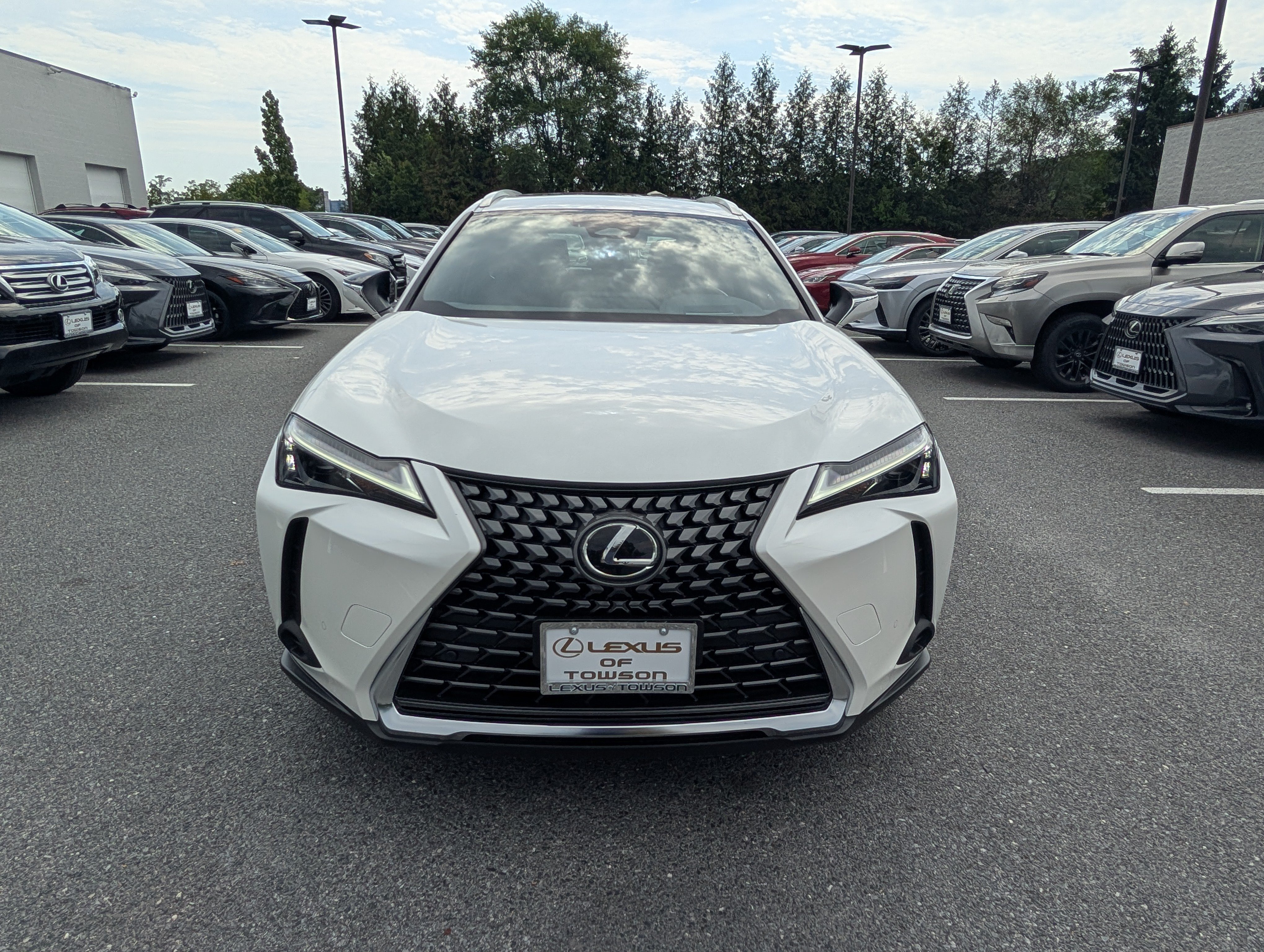 Used 2025 Lexus UX 300h AWD w/ Accessory Package (Z1) image 8