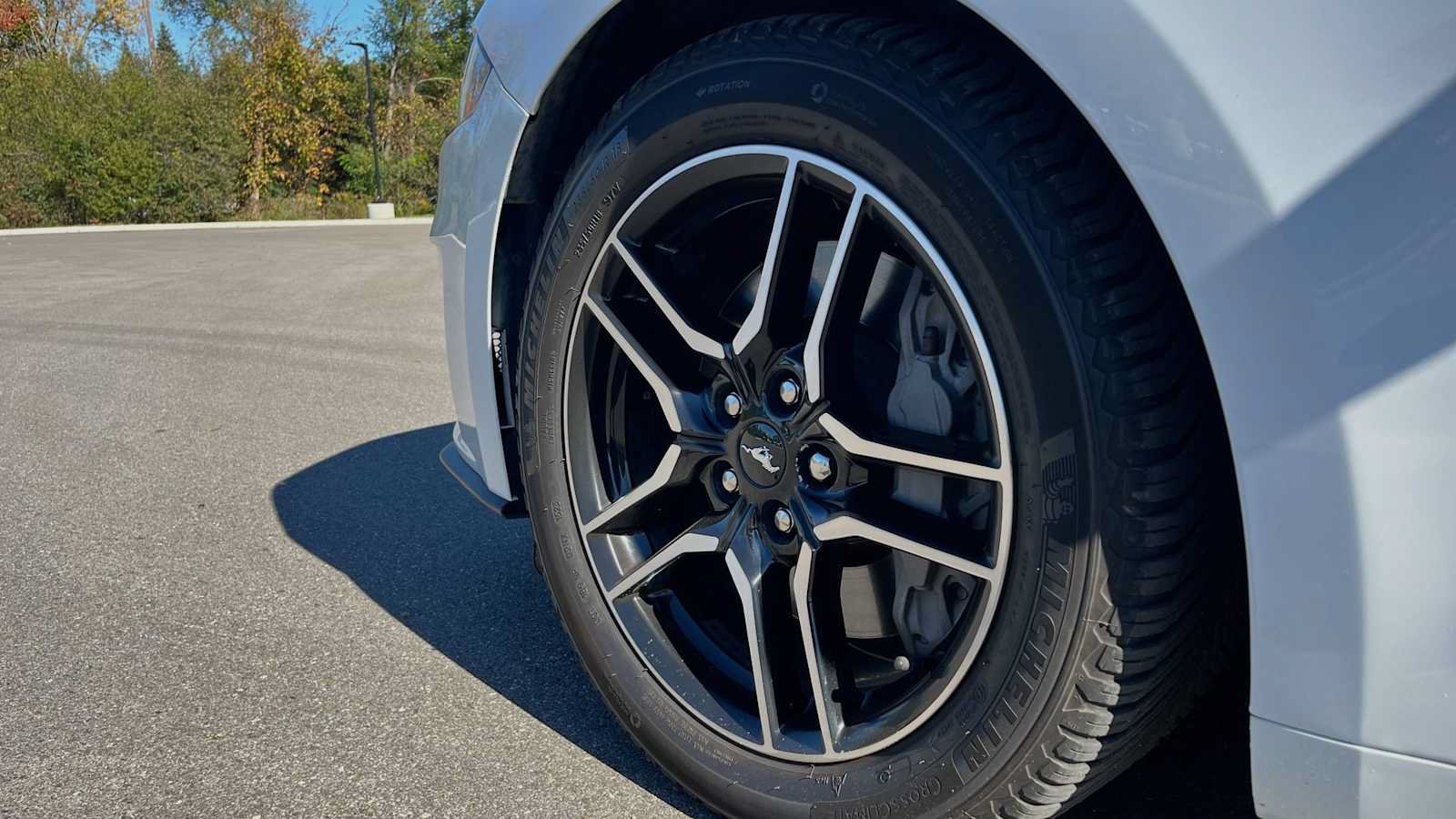Used 2019 Ford Mustang GT Premium w/ Equipment Group 401A RWD image 26
