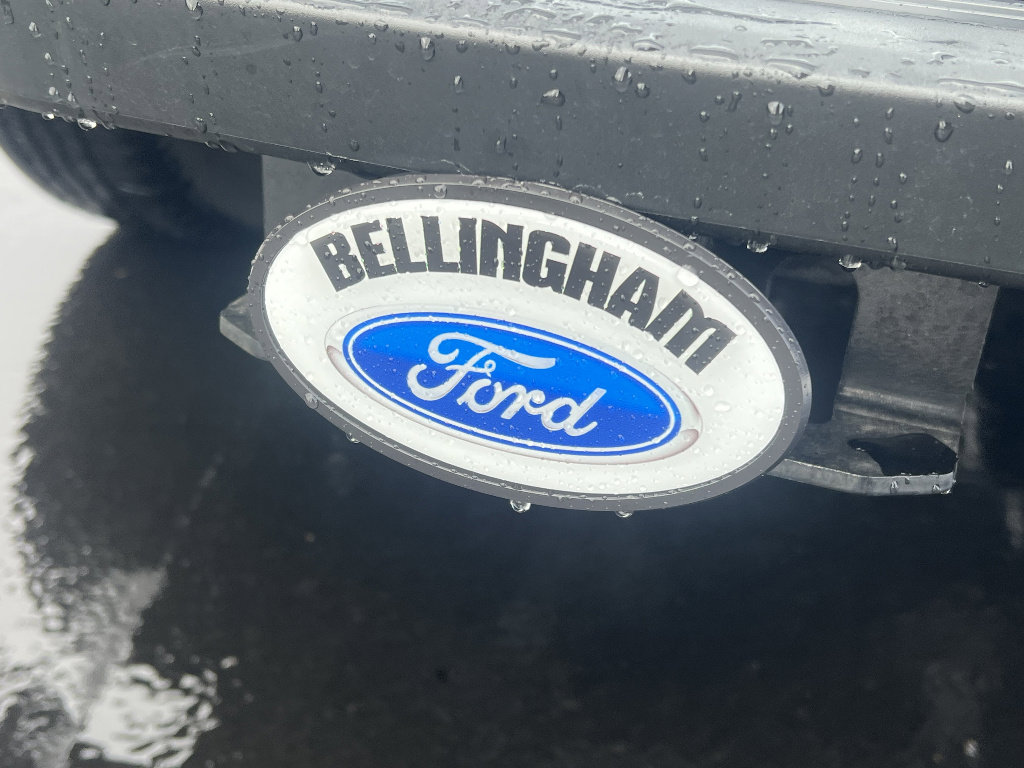 Used 2025 Ford F150 Lightning Flash image 10