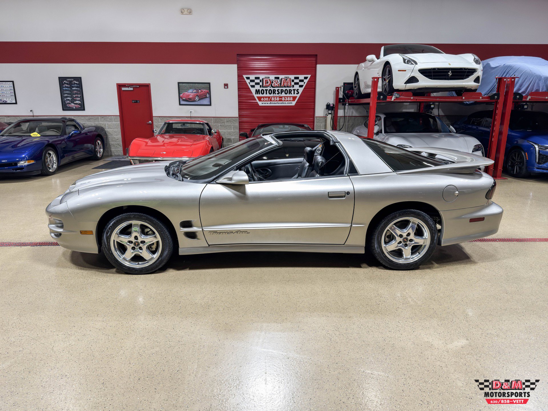 Used 2002 Pontiac Firebird Trans Am image 2