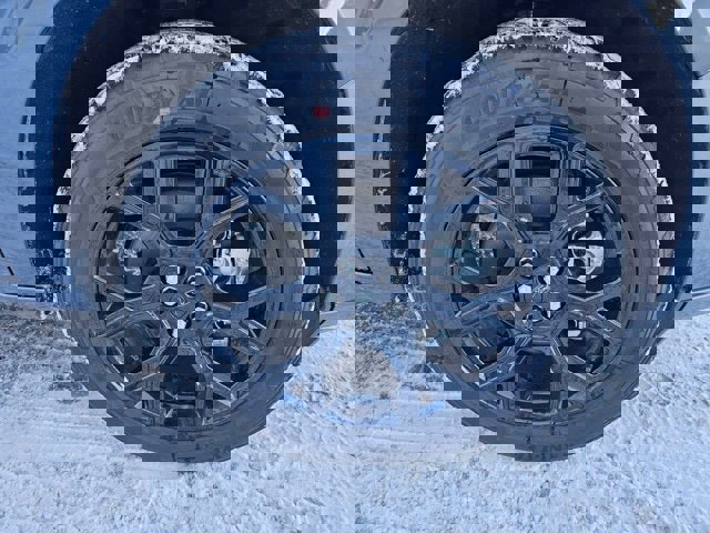 Used 2025 Ford Maverick Lobo image 5