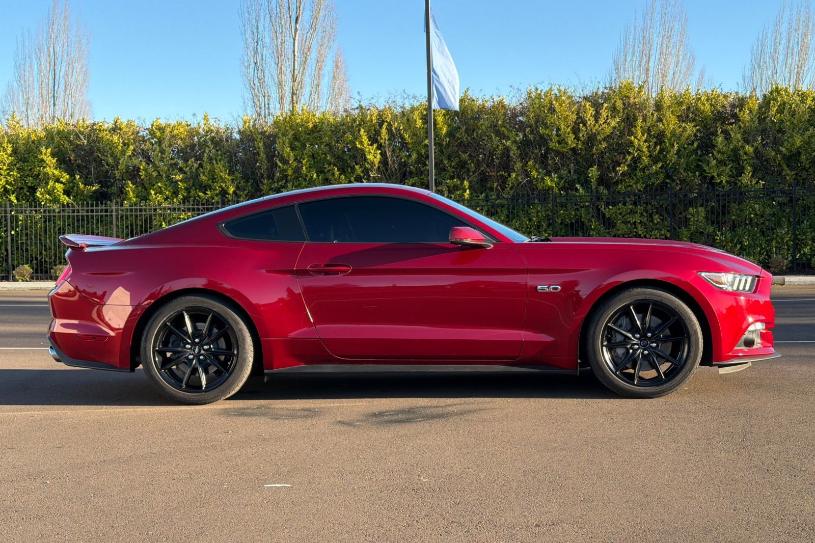 Used 2016 Ford Mustang GT Premium w/ Equipment Group 401A image 3