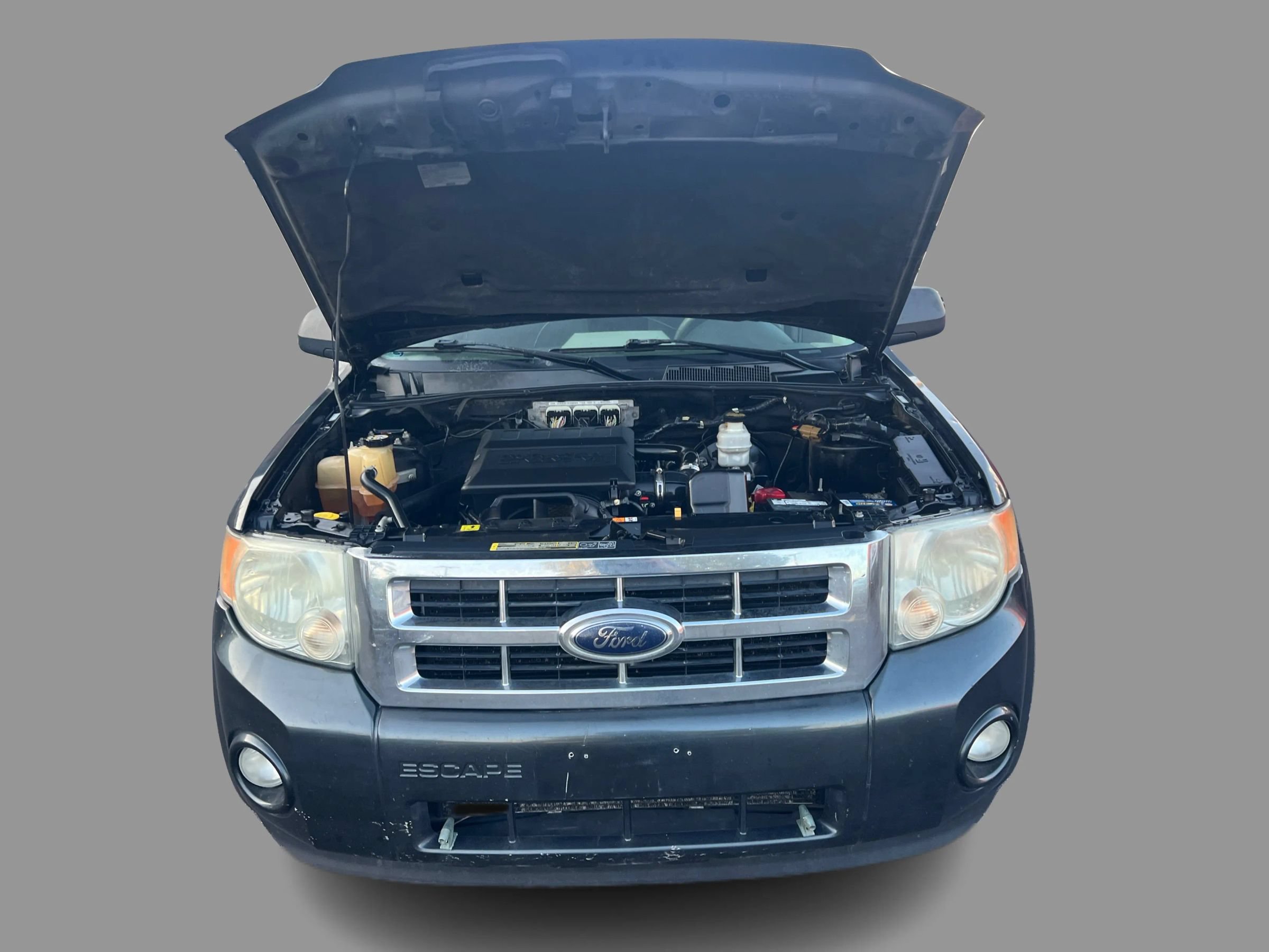 Used 2009 Ford Escape XLT FWD image 13