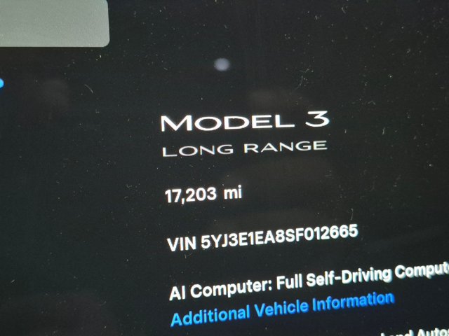 Used 2025 Tesla Model 3 Long Range RWD image 19