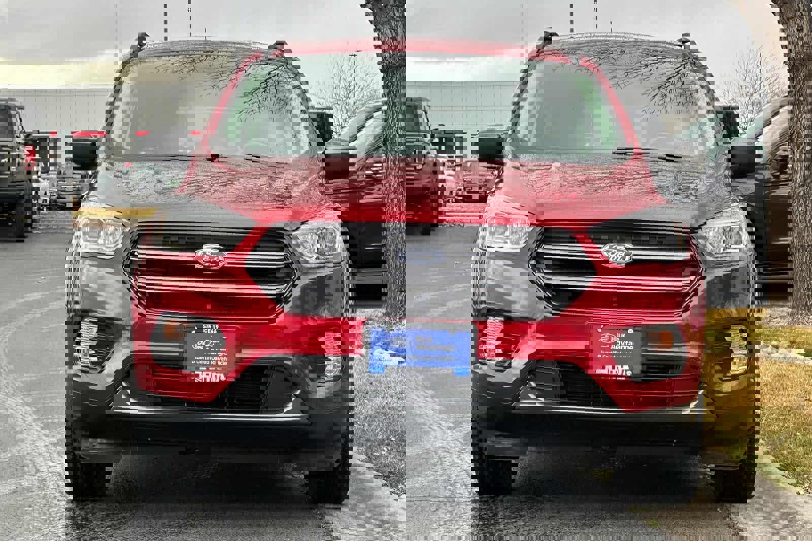 Certified 2019 Ford Escape SEL image 10