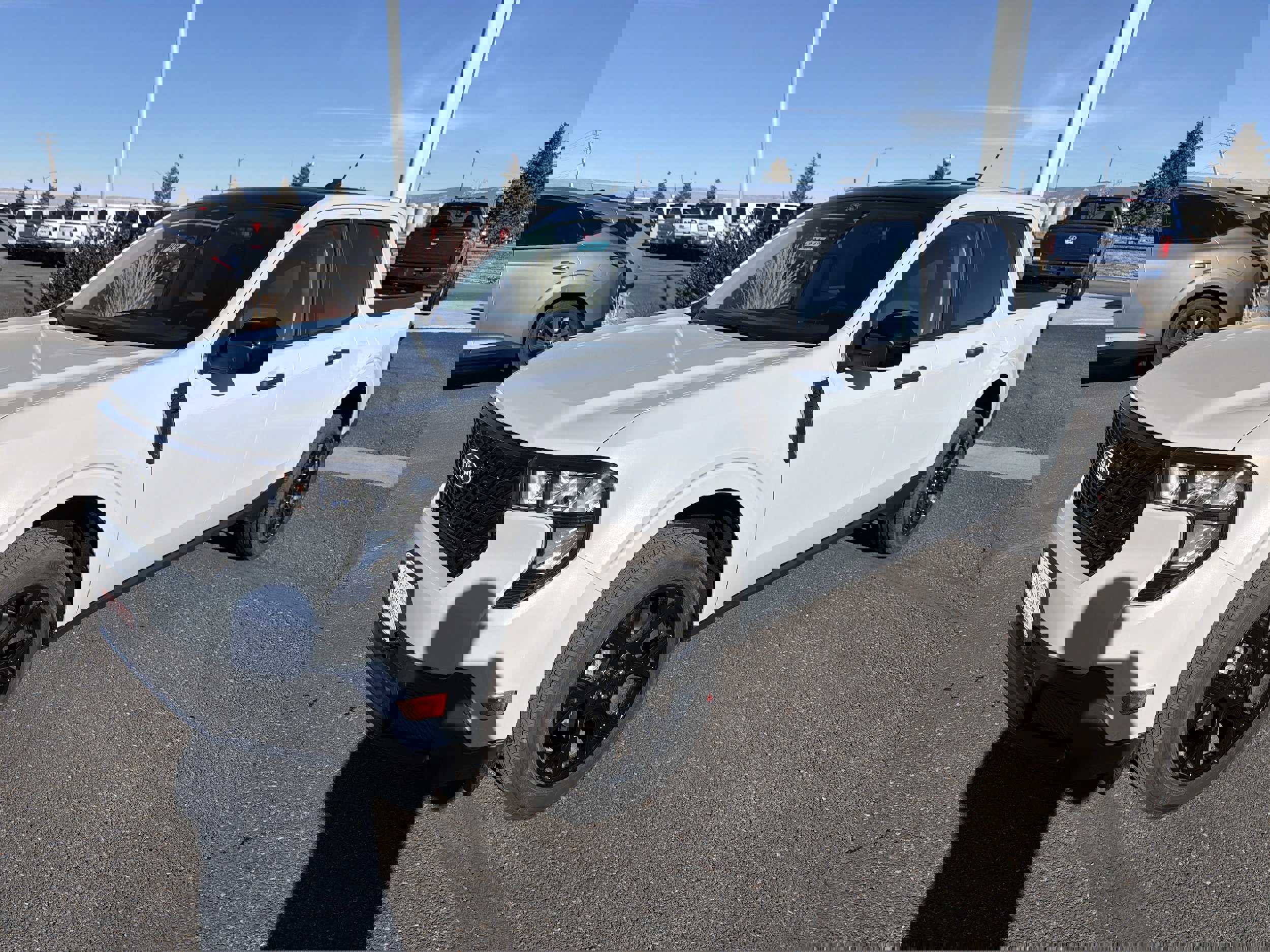 New 2026 Ford Maverick XLT w/ Equipment Group 301A image 1