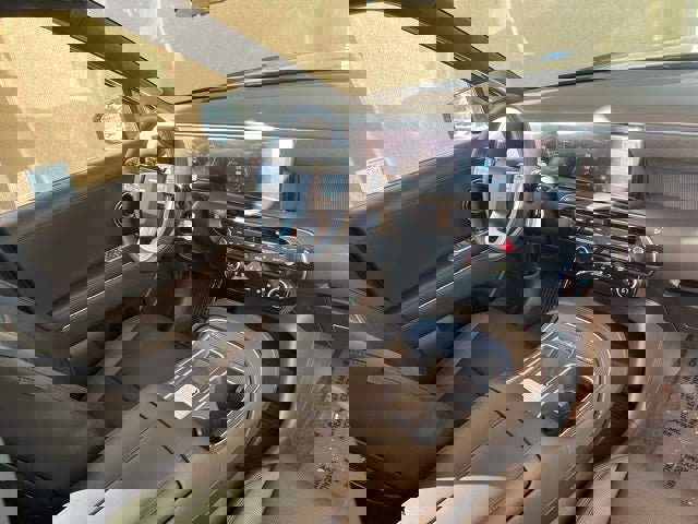 New 2026 Hyundai Palisade Calligraphy image 29