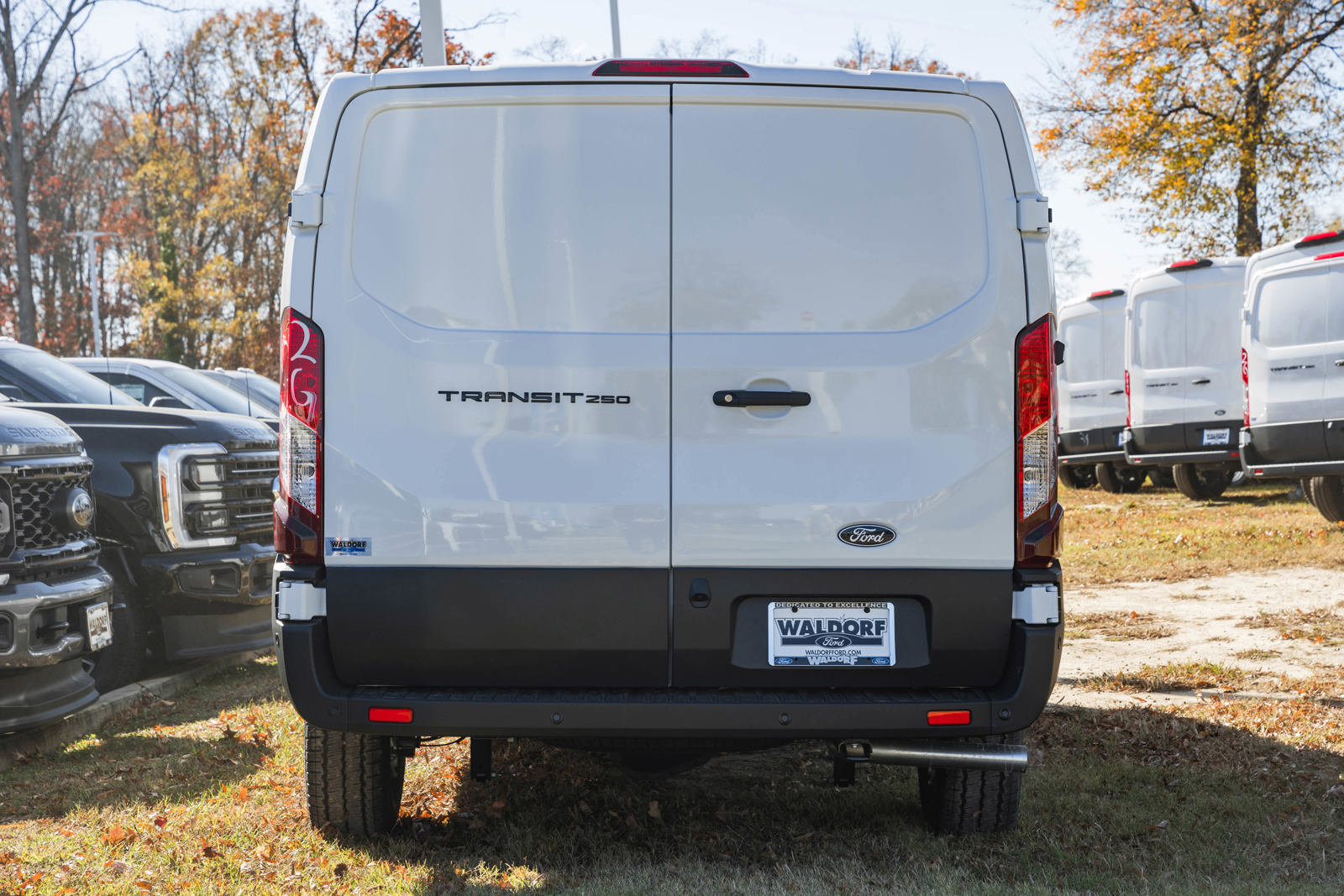 New 2026 Ford Transit 250 Low Roof RWD image 5