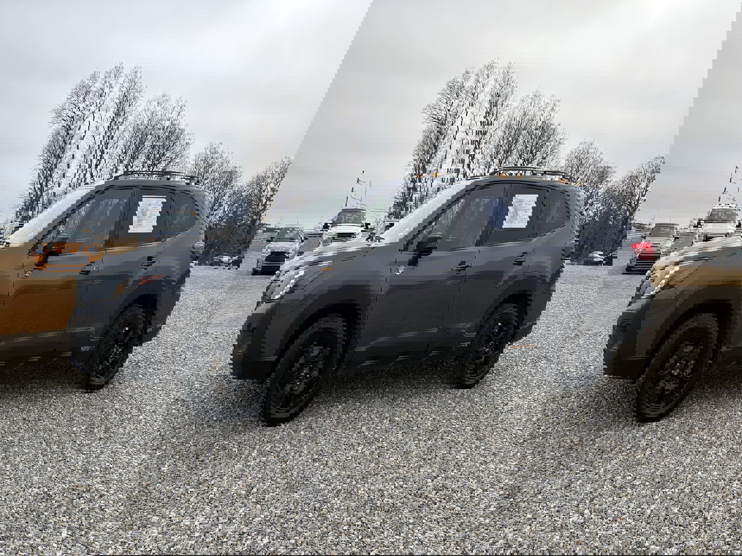 Used 2023 Subaru Forester Wilderness image 4