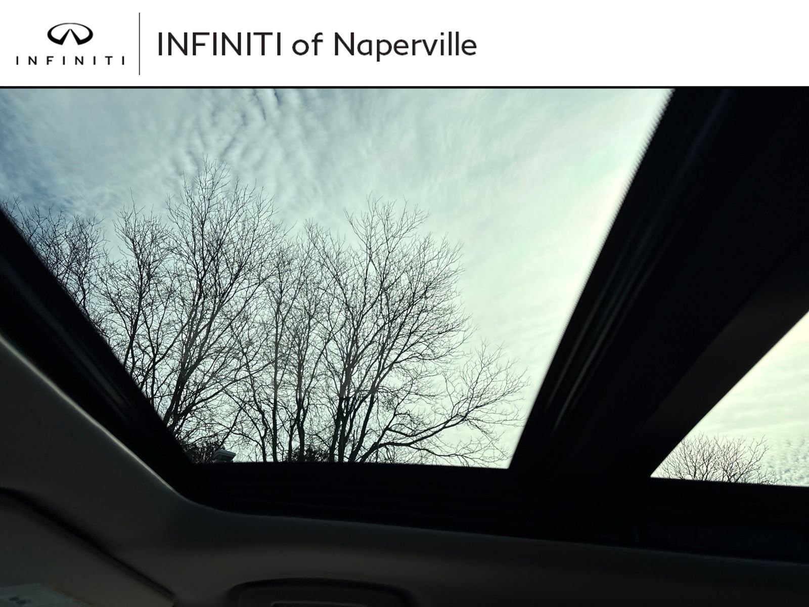 New 2026 INFINITI QX80 Luxe w/ Cargo Package image 21