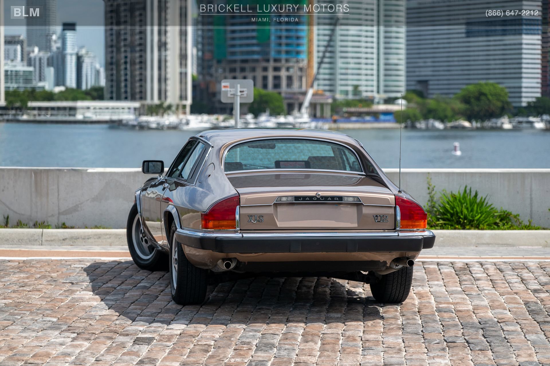 Used 1987 Jaguar XJS V12 Coupe RWD image 3