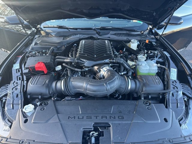 New 2025 Ford Mustang GT Premium w/ GT Performance Package image 24