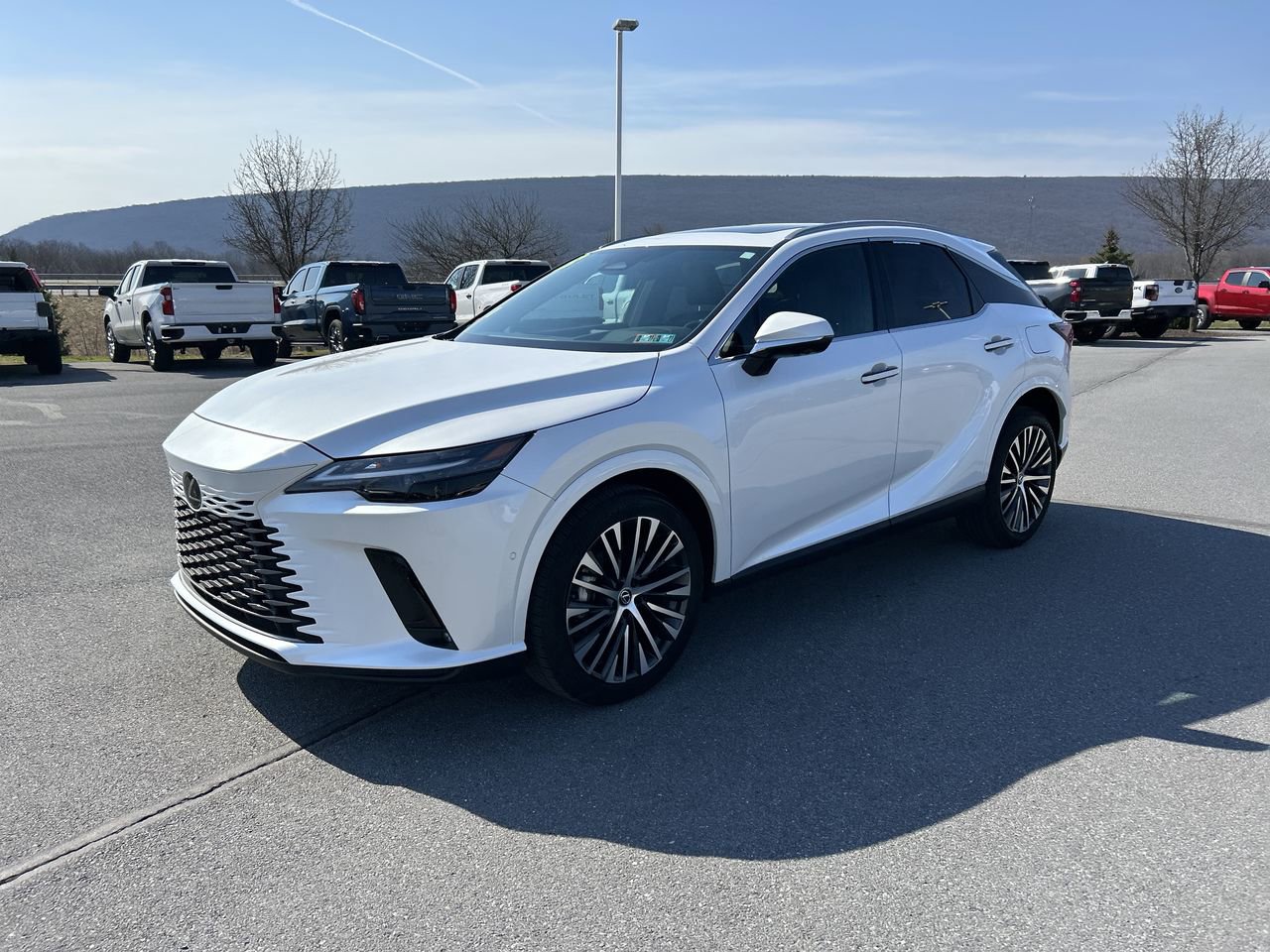 Used 2023 Lexus RX 350 Premium Plus w/ Cold Area Package image 3