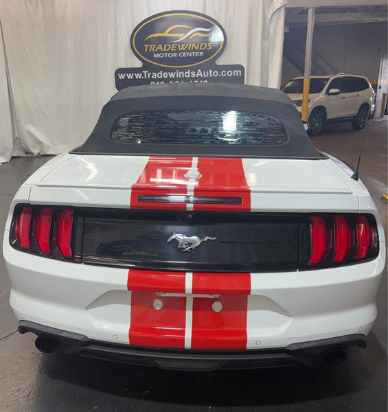 Used 2019 Ford Mustang Premium image 5
