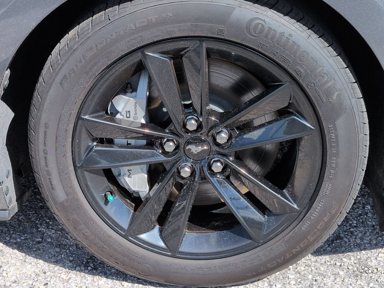 Used 2025 Ford Mustang GT RWD image 11