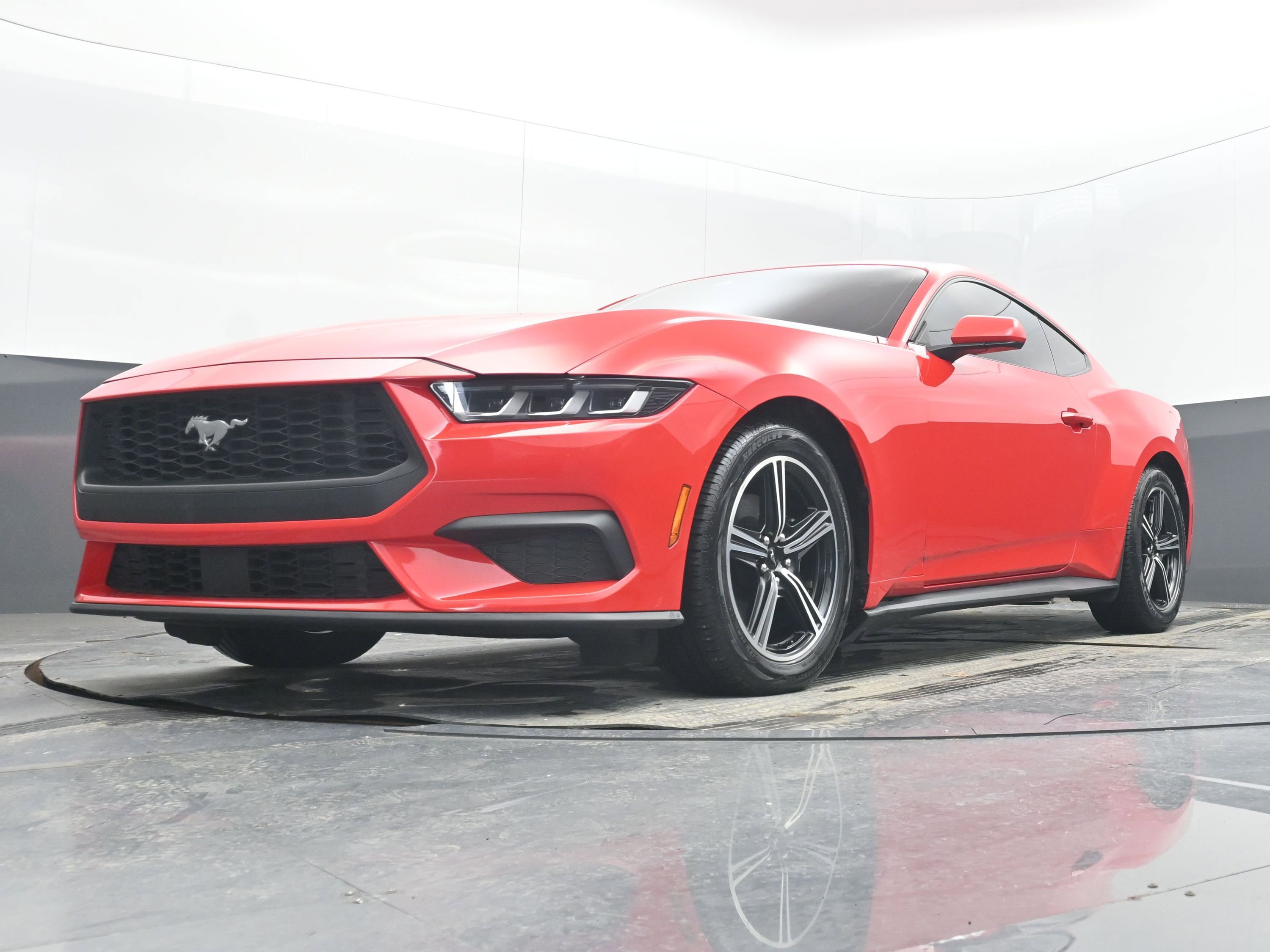 Used 2024 Ford Mustang EcoBoost image 20
