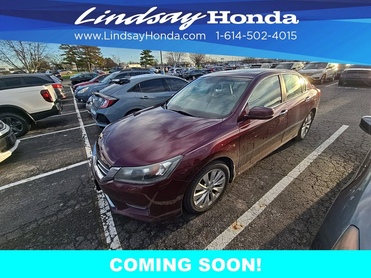 Used 2013 Honda Accord EX-L image 8