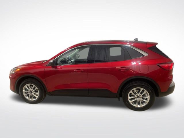 Used 2022 Ford Escape SE w/ Convenience Package image 2
