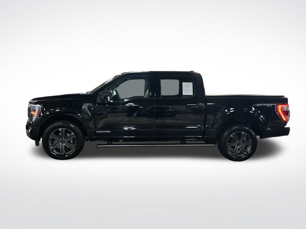 Used 2023 Ford F150 Lariat w/ Equipment Group 502A High image 2