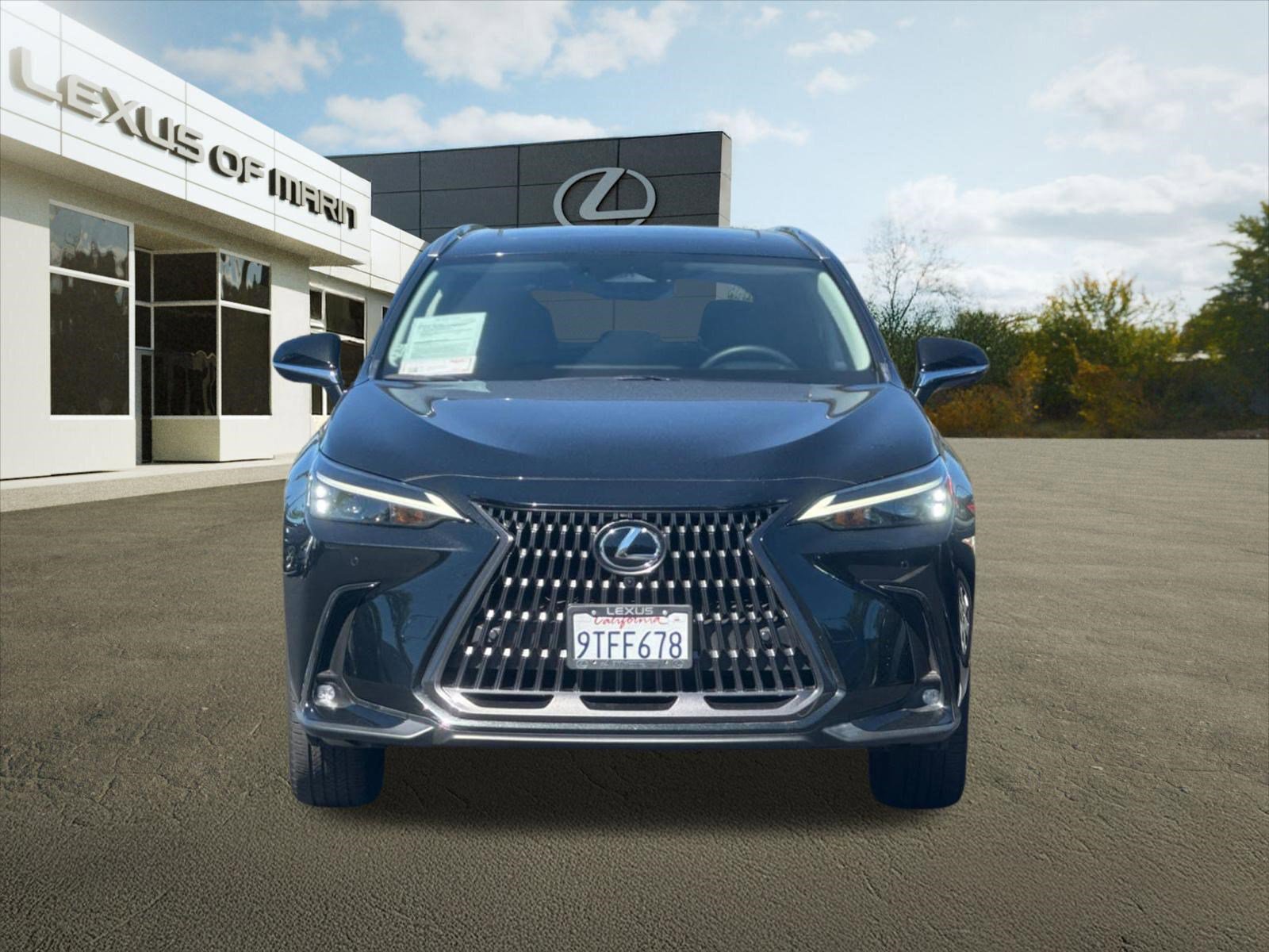 Used 2025 Lexus NX 350h AWD w/ Cold Area Package image 6