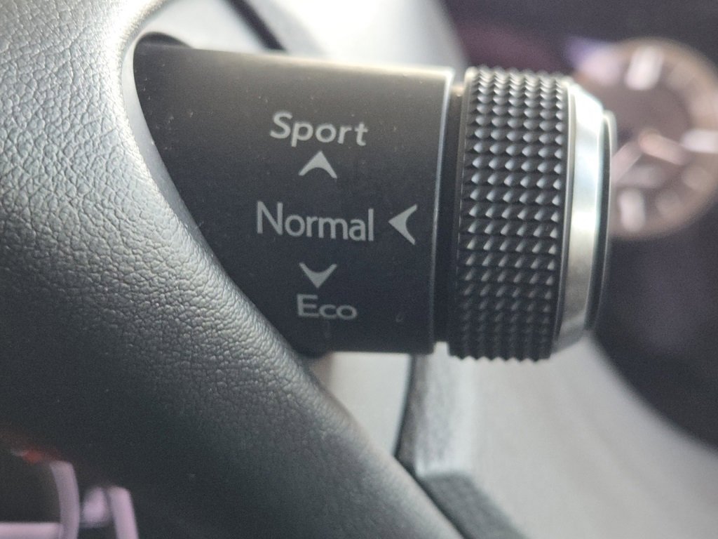 Used 2021 Lexus ES 300h w/ Premium Package image 19