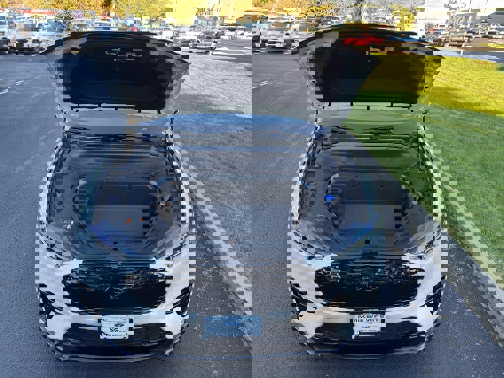 New 2025 Ford Mustang Mach-E GT w/ Interior Protection Package image 33