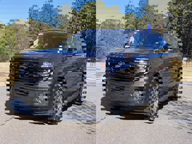 Certified 2025 Ford Expedition Active image 11