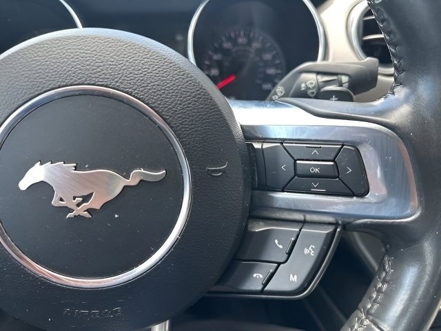 Used 2018 Ford Mustang Premium RWD image 14