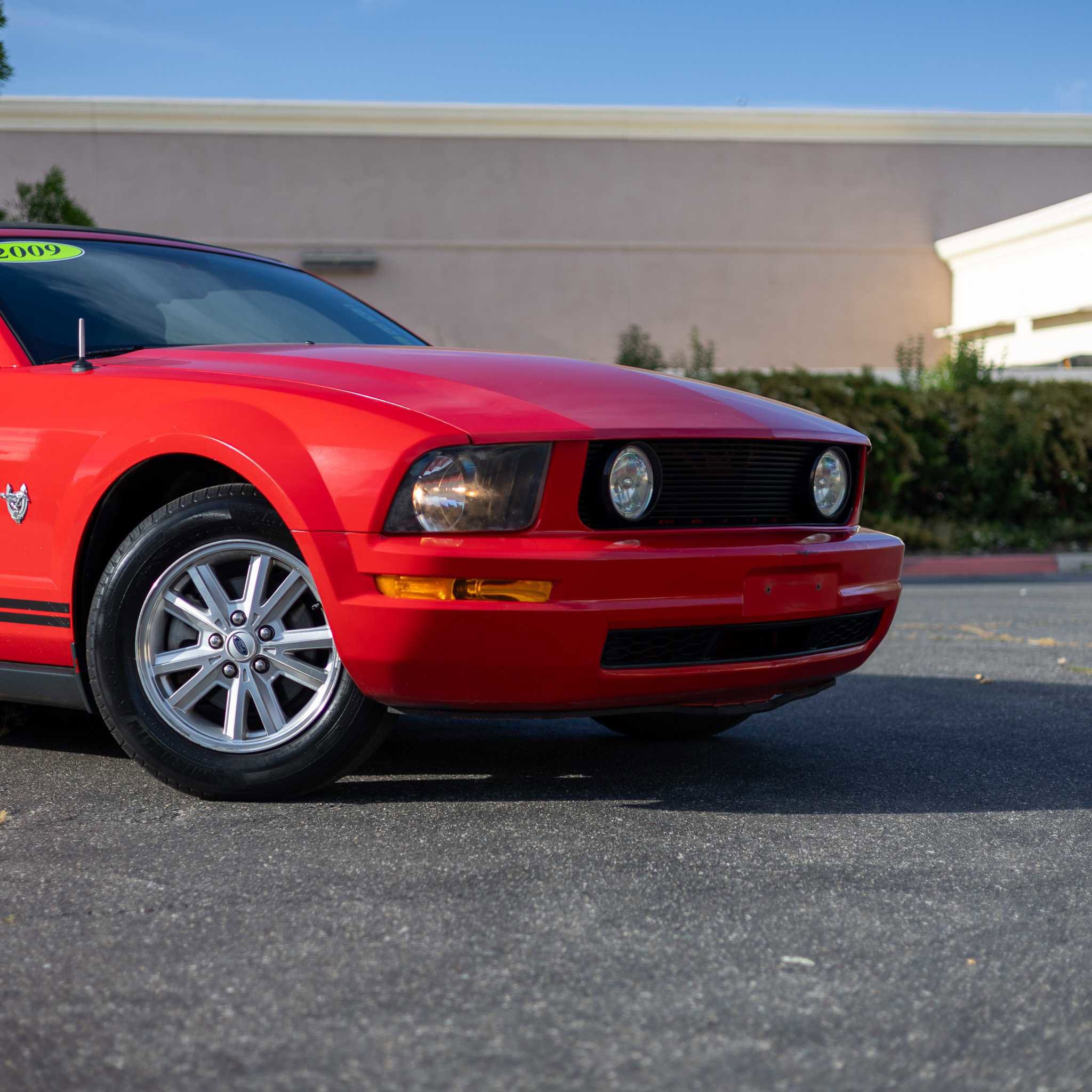 Used 2009 Ford Mustang Premium image 10