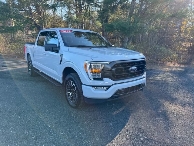Used 2023 Ford F150 XLT w/ Equipment Group 302A High image 23
