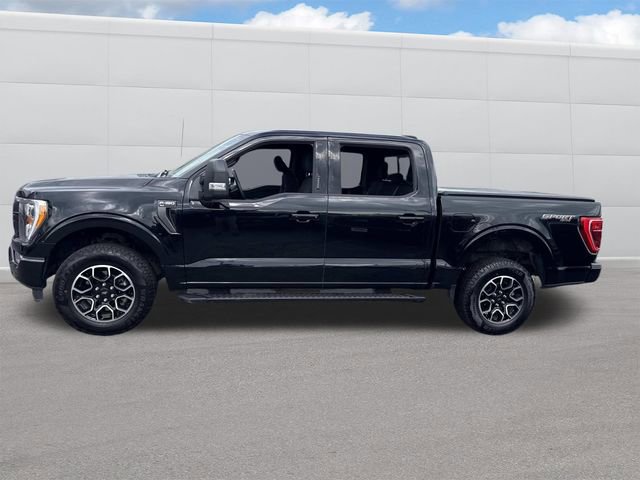 Used 2023 Ford F150 XLT w/ Equipment Group 302A High image 2